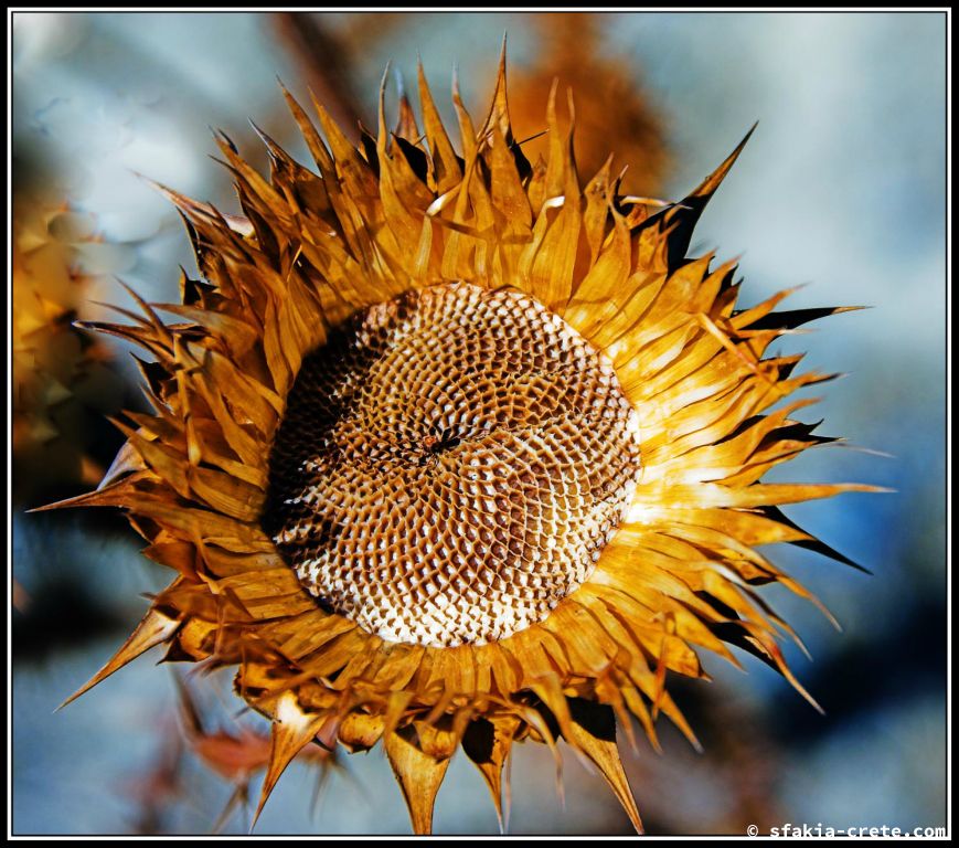 Photo report of a trip to south Crete, September - October 2007